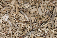 biomass boilers Langstone